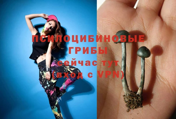 COCAINE Богородицк