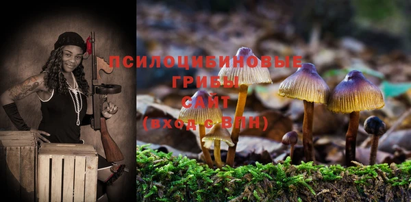 ALPHA PVP Богданович