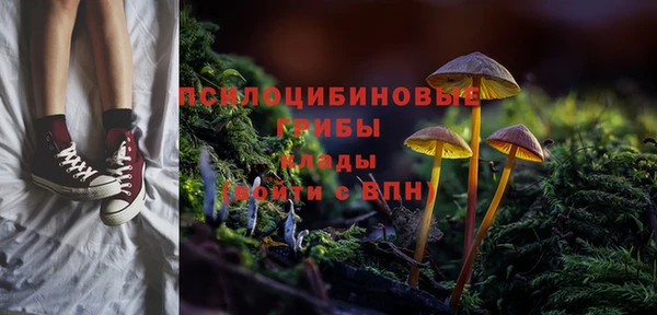 ALPHA PVP Богданович